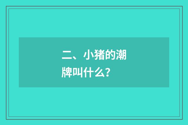 二、小猪的潮牌叫什么？