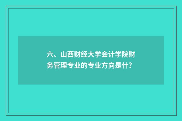 六、山西财经大学会计学院财务管理专业的专业方向是什？