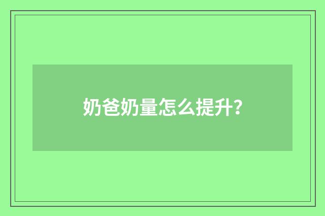 奶爸奶量怎么提升？