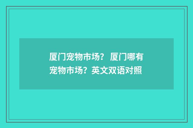 厦门宠物市场？ 厦门哪有宠物市场？英文双语对照