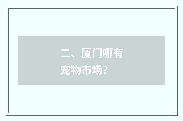 二、厦门哪有宠物市场？