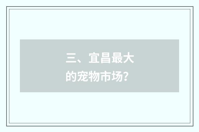 三、宜昌最大的宠物市场？