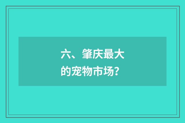 六、肇庆最大的宠物市场？