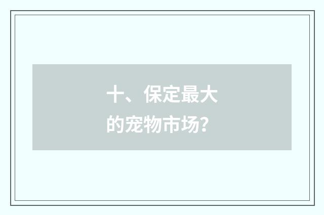十、保定最大的宠物市场？