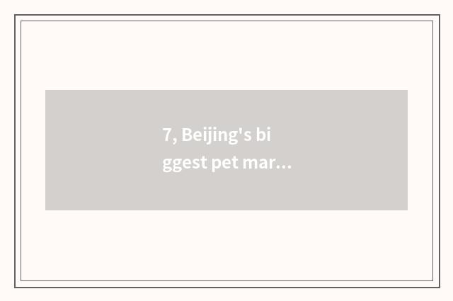 7, Beijing's biggest pet market?