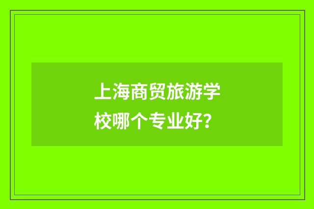 上海商贸旅游学校哪个专业好？