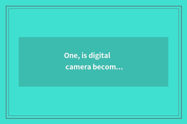 One, is digital camera become a few kinds to have like chip?