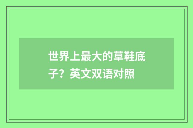 世界上最大的草鞋底子？英文双语对照