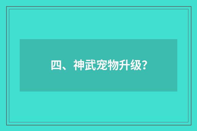 四、神武宠物升级？