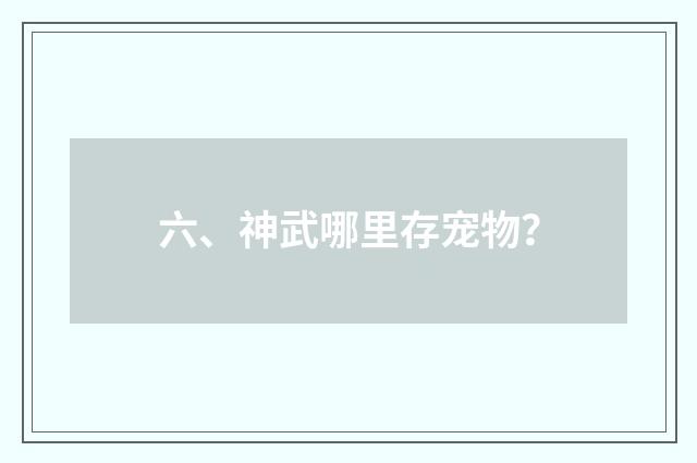 六、神武哪里存宠物？