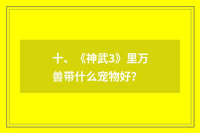 十、《神武3》里万兽带什么宠物好？