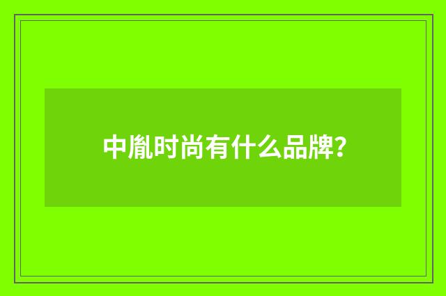 中胤时尚有什么品牌？