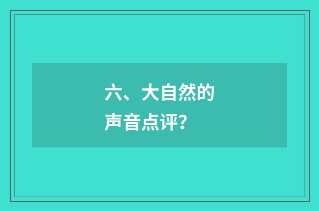 六、大自然的声音点评？