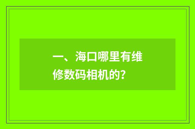 一、海口哪里有维修数码相机的？