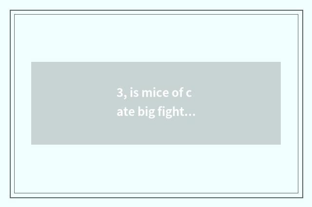 3, is mice of cate big fight made?