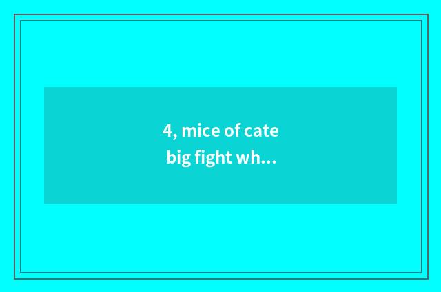 4, mice of cate big fight which cate is good with?