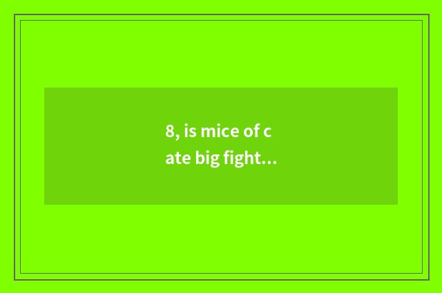 8, is mice of cate big fight initiative weapon?