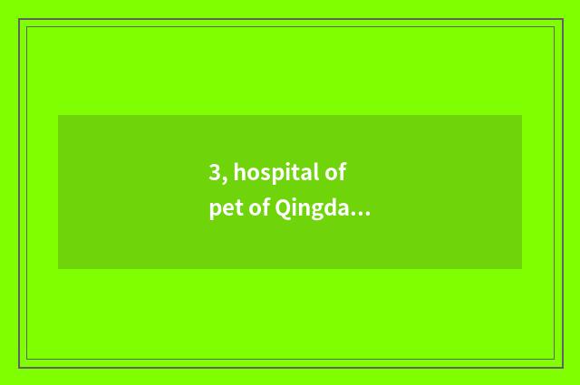 3, hospital of pet of Qingdao love beautiful how?