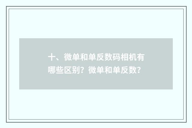 十、微单和单反数码相机有哪些区别？微单和单反数？