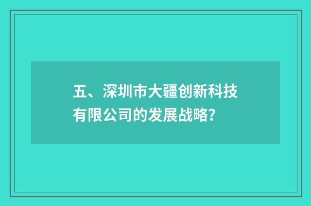 五、深圳市大疆创新科技有限公司的发展战略？