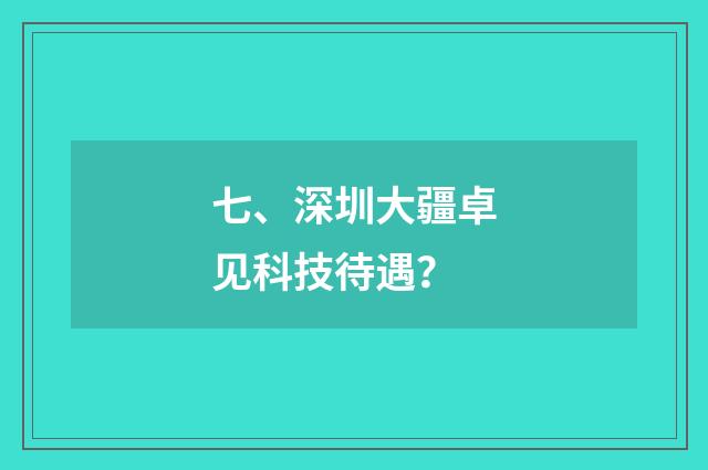 七、深圳大疆卓见科技待遇？