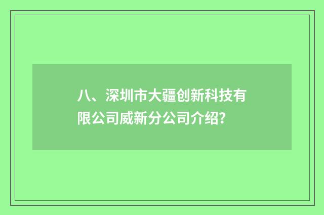 八、深圳市大疆创新科技有限公司威新分公司介绍？