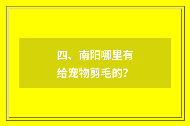 四、南阳哪里有给宠物剪毛的？