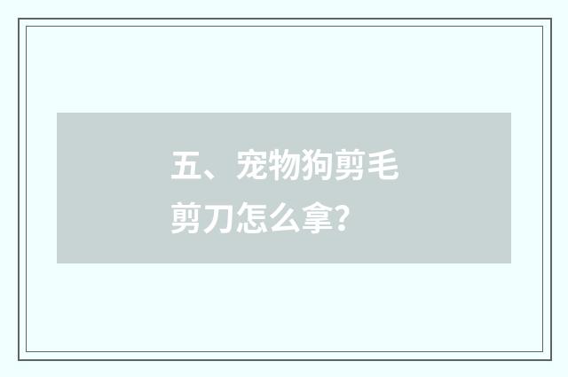 五、宠物狗剪毛剪刀怎么拿?