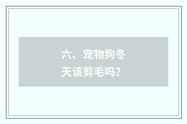六、宠物狗冬天该剪毛吗？
