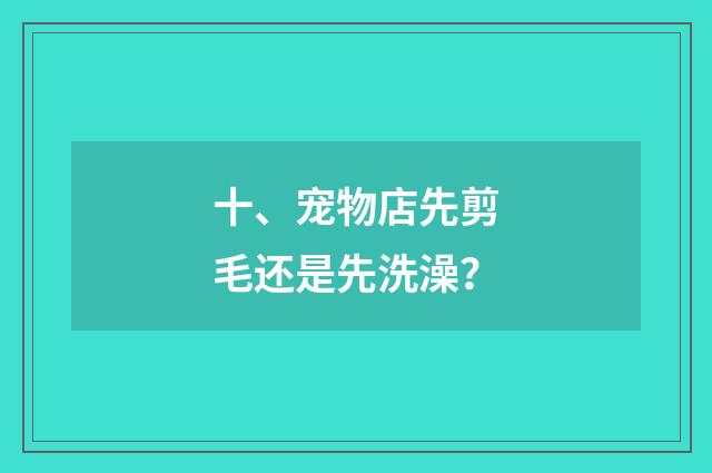十、宠物店先剪毛还是先洗澡？