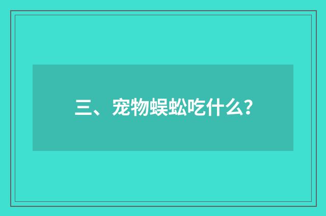 三、宠物蜈蚣吃什么？