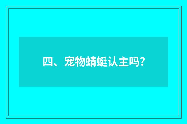 四、宠物蜻蜓认主吗？