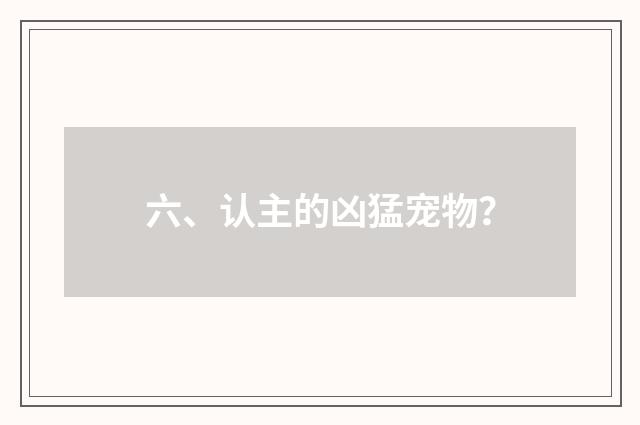 六、认主的凶猛宠物？