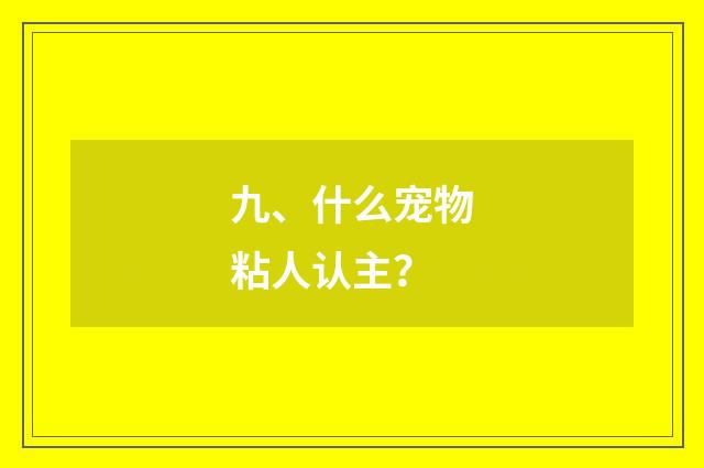 九、什么宠物粘人认主？