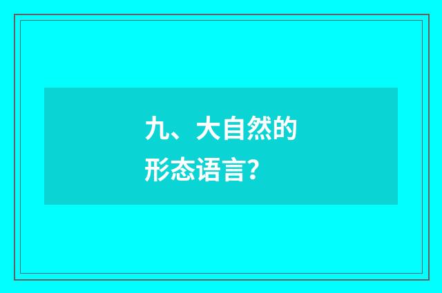 九、大自然的形态语言？