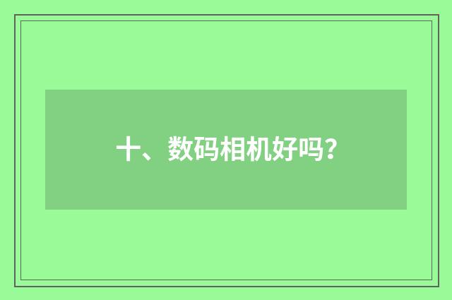 十、数码相机好吗？