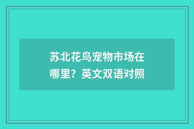 苏北花鸟宠物市场在哪里？英文双语对照