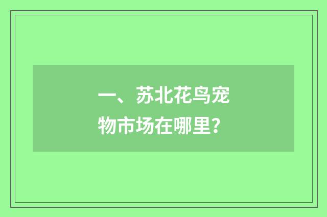 一、苏北花鸟宠物市场在哪里？