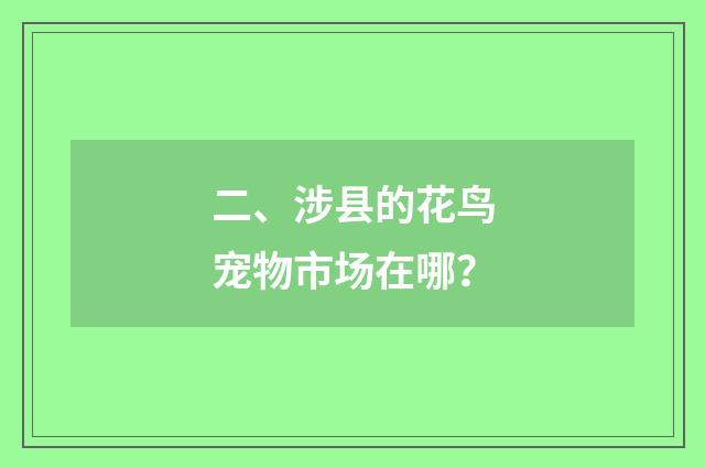 二、涉县的花鸟宠物市场在哪？