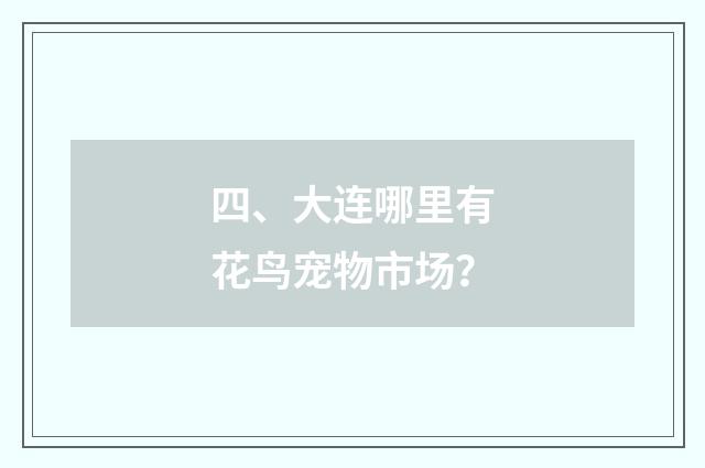 四、大连哪里有花鸟宠物市场？