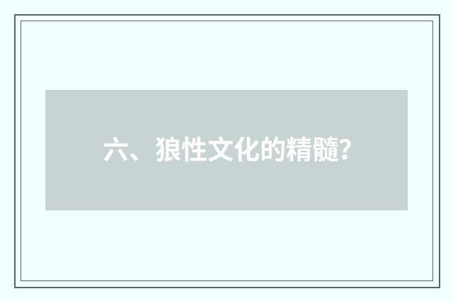 六、狼性文化的精髓？