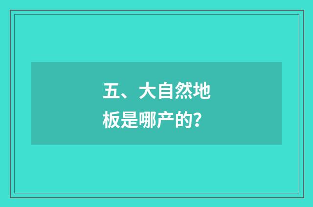 五、大自然地板是哪产的？