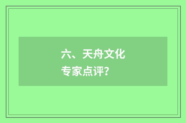 六、天舟文化专家点评？