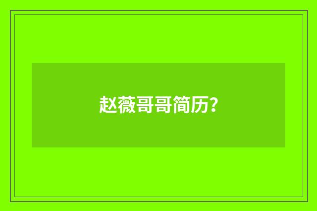 赵薇哥哥简历？
