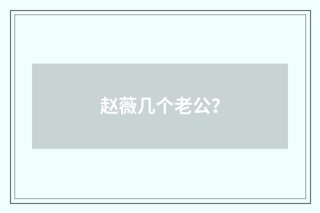 赵薇几个老公？