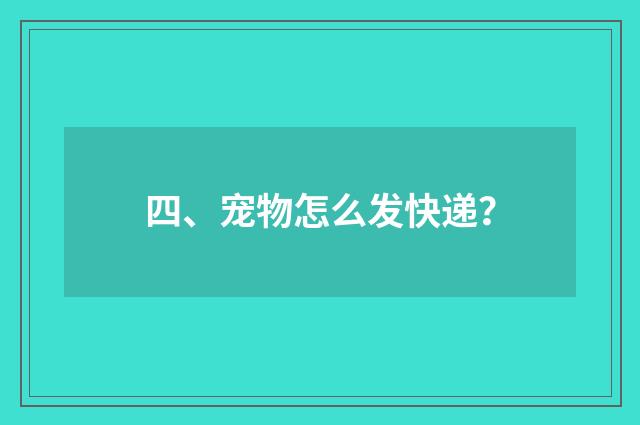 四、宠物怎么发快递？