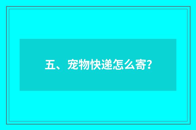 五、宠物快递怎么寄？