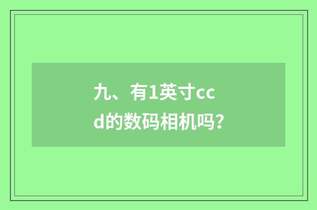 九、有1英寸ccd的数码相机吗？