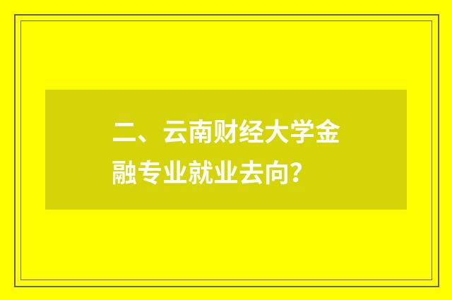 二、云南财经大学金融专业就业去向？