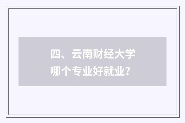 四、云南财经大学哪个专业好就业？